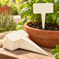 Garden Plant Markers — AI-generated styling illustration